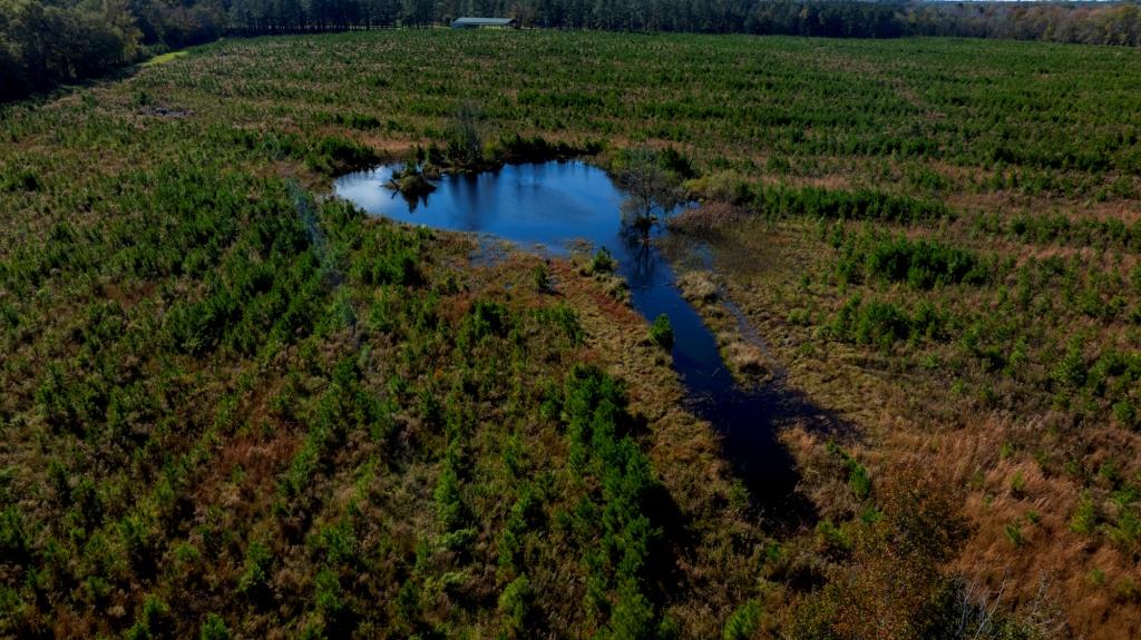 Water Oak Farm Photo