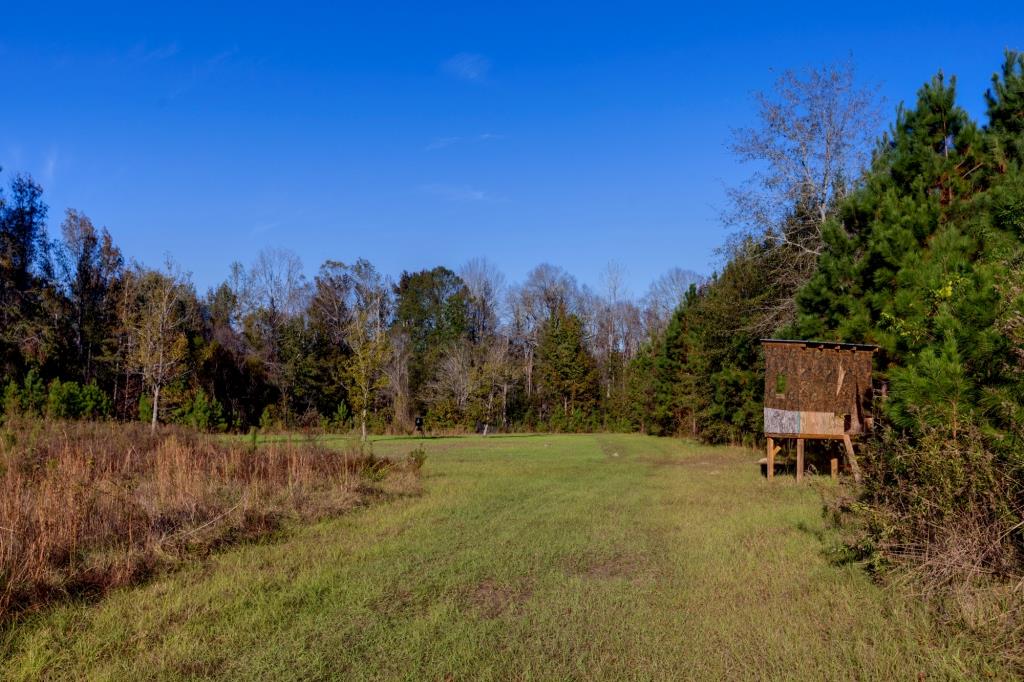 Water Oak Farm Photo