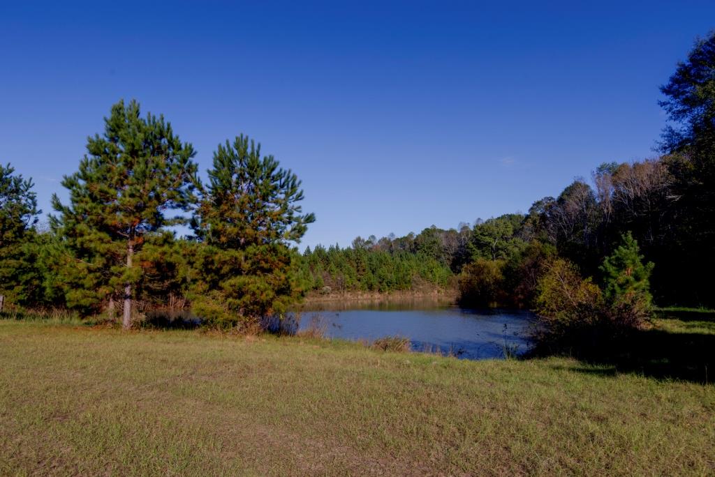 Water Oak Farm Photo