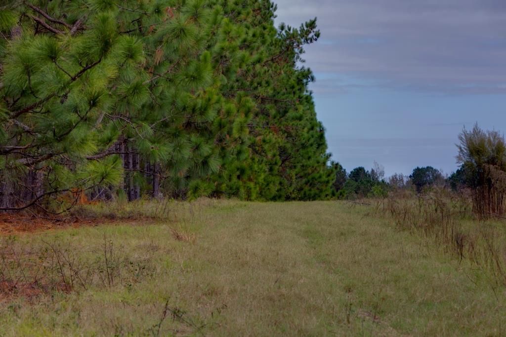 Water Oak Farm Photo