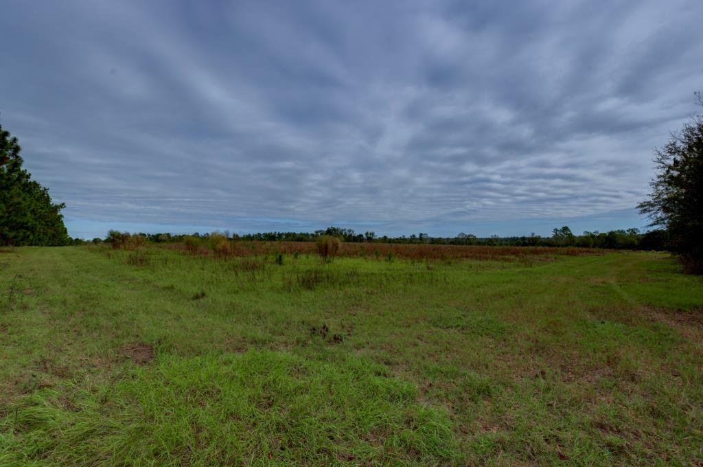 Water Oak Farm – Tract 8 Photo