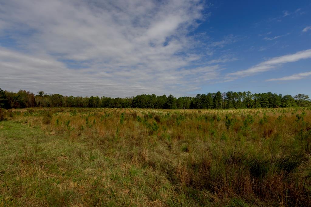 Water Oak Farm Photo