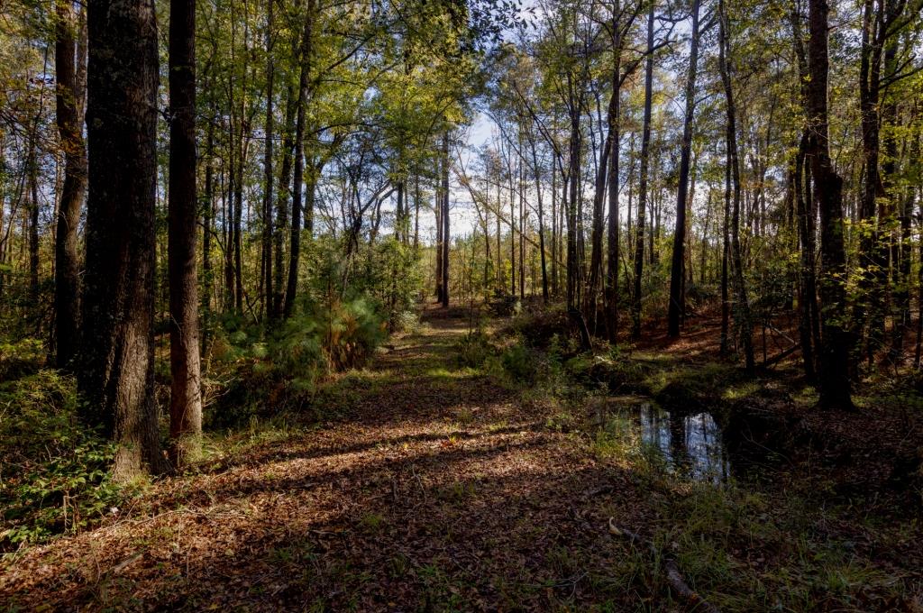 Water Oak Farm Photo