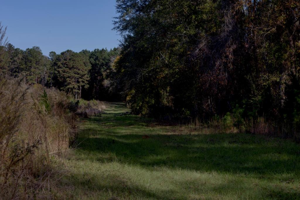 Water Oak Farm Photo