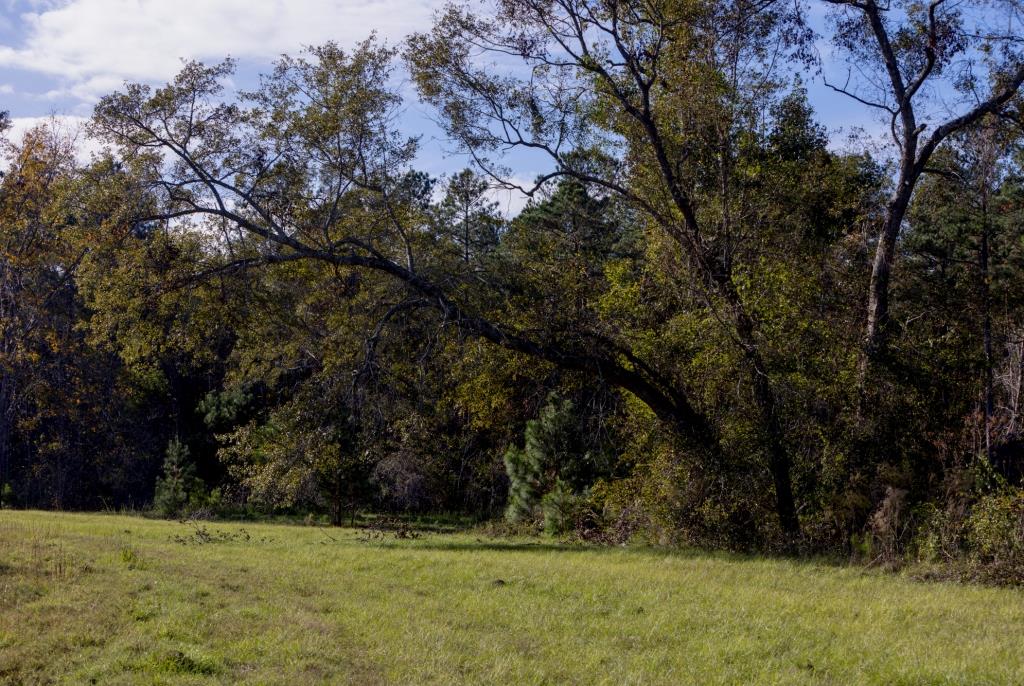 Water Oak Farm Photo