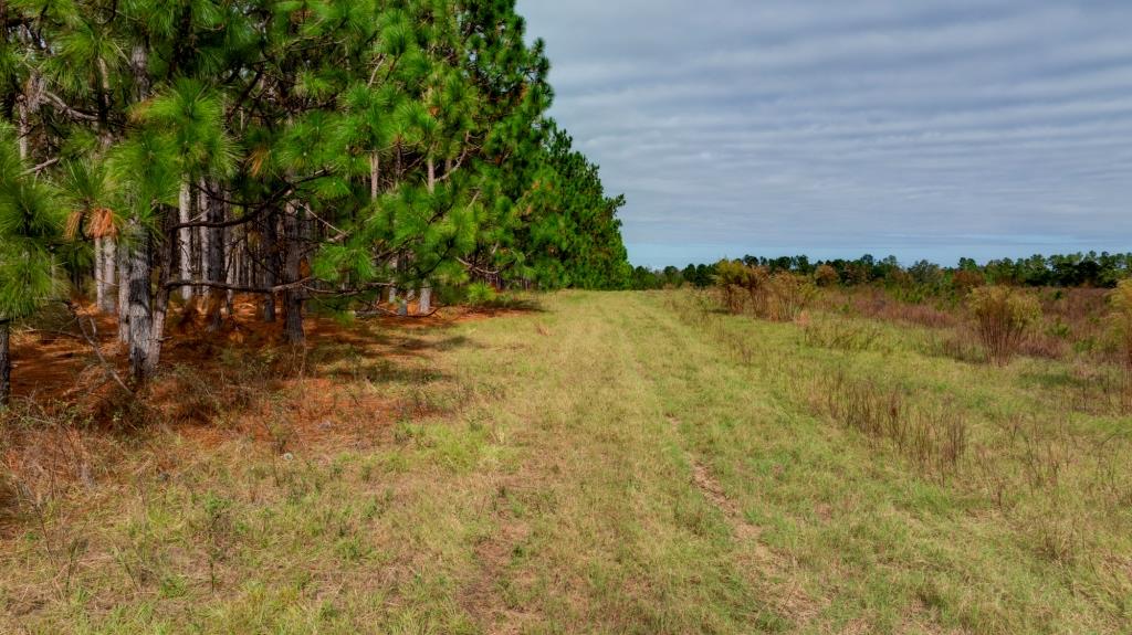 Water Oak Farm Photo