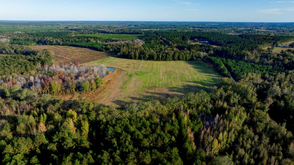 Water Oak Farm Photo