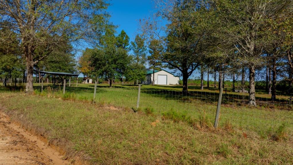 Water Oak Farm – Tract 4 Photo