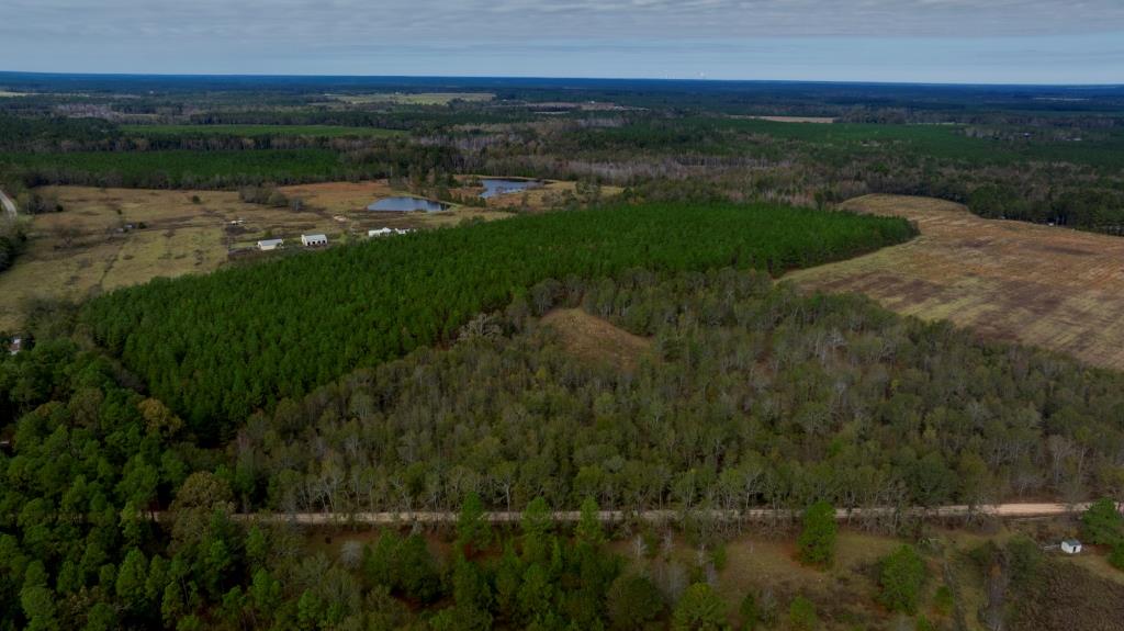 Water Oak Farm – Tract 8 Photo