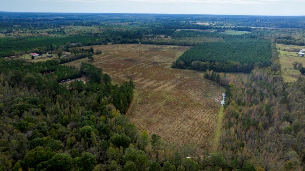 Water Oak Farm – Tract 8 Photo