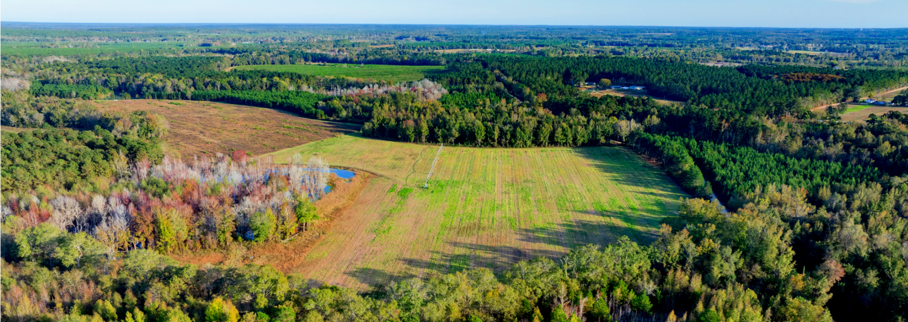 Water Oak Farm – Tract 1 Main Photo