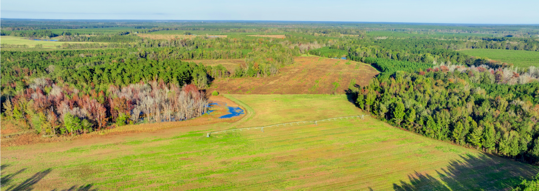 Water Oak Farm – Tract 2 Main Photo