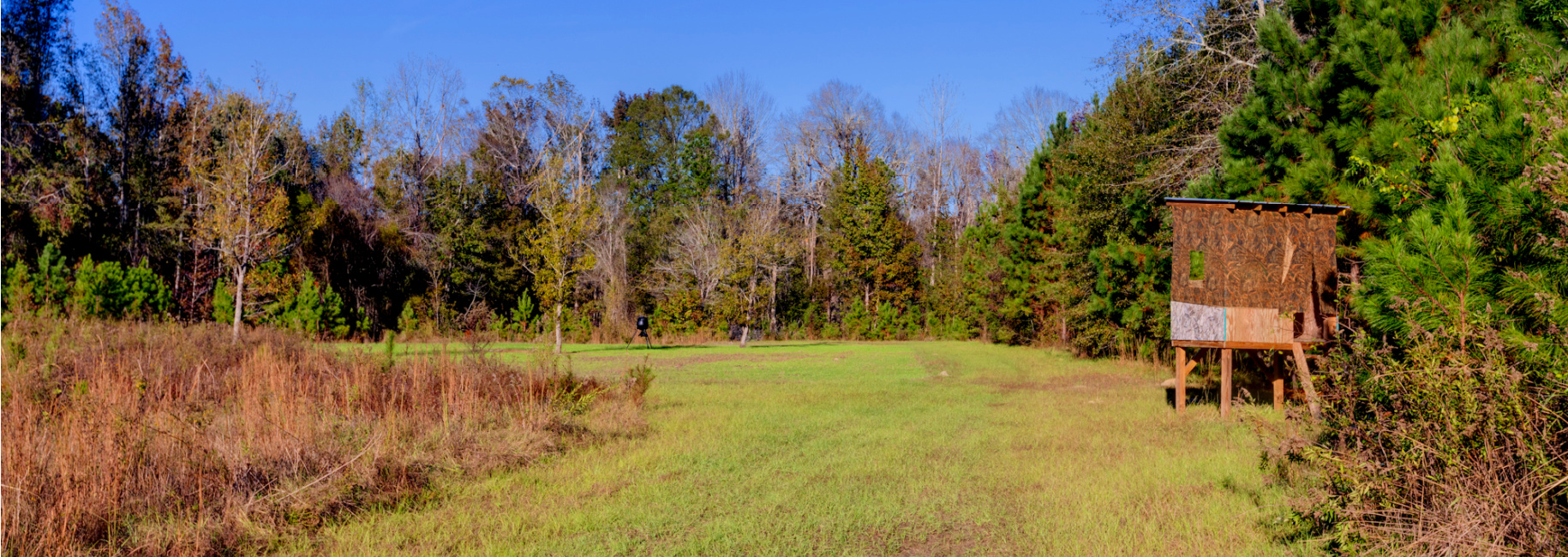 Water Oak Farm – Tract 3 Main Photo