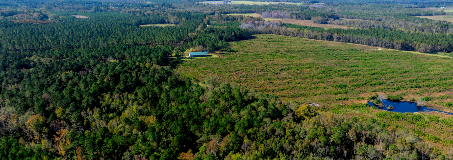 Water Oak Farm – Tract 4 Main Photo