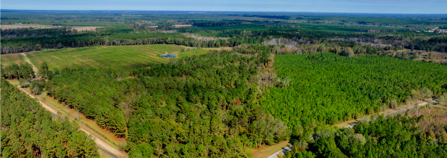 Water Oak Farm – Tract 5 Main Photo