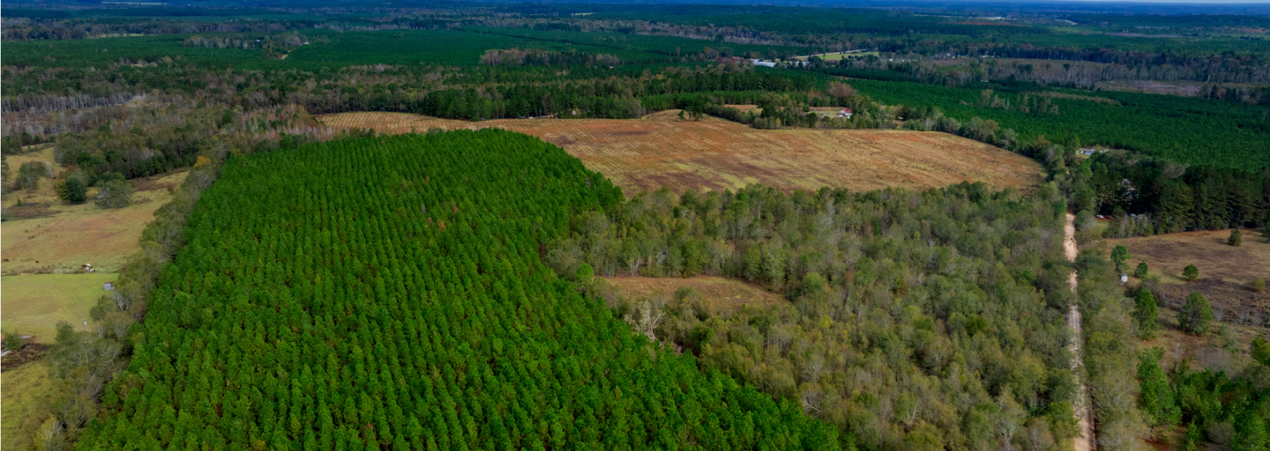 Water Oak Farm – Tract 8 Main Photo