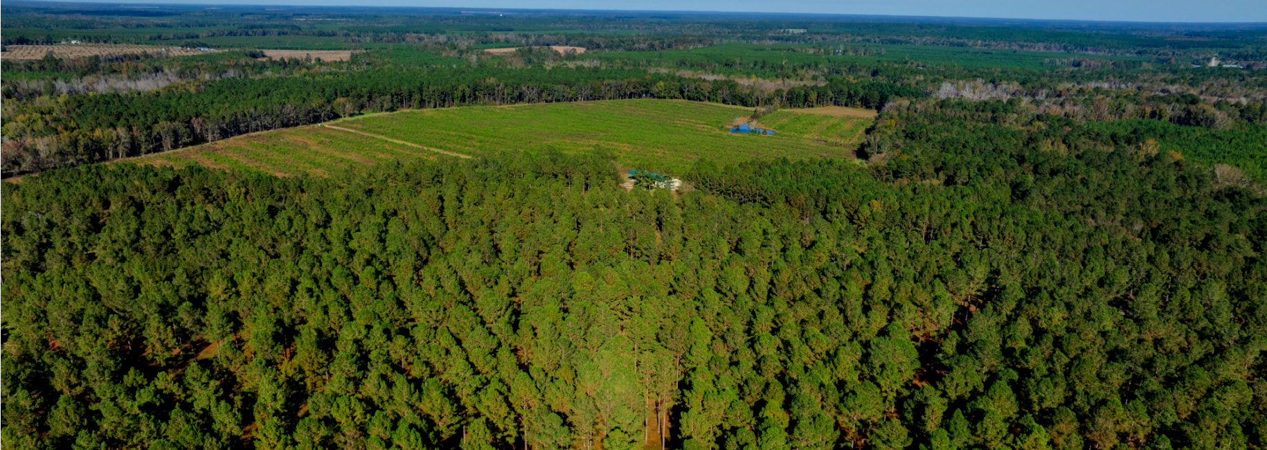 Water Oak Farm Main Photo