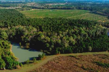 Water Oak Farm