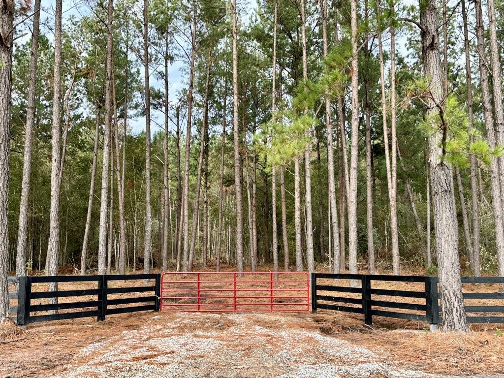 Lanes Creek Farms: 20 Lots from 5 to 26 Acres Photo