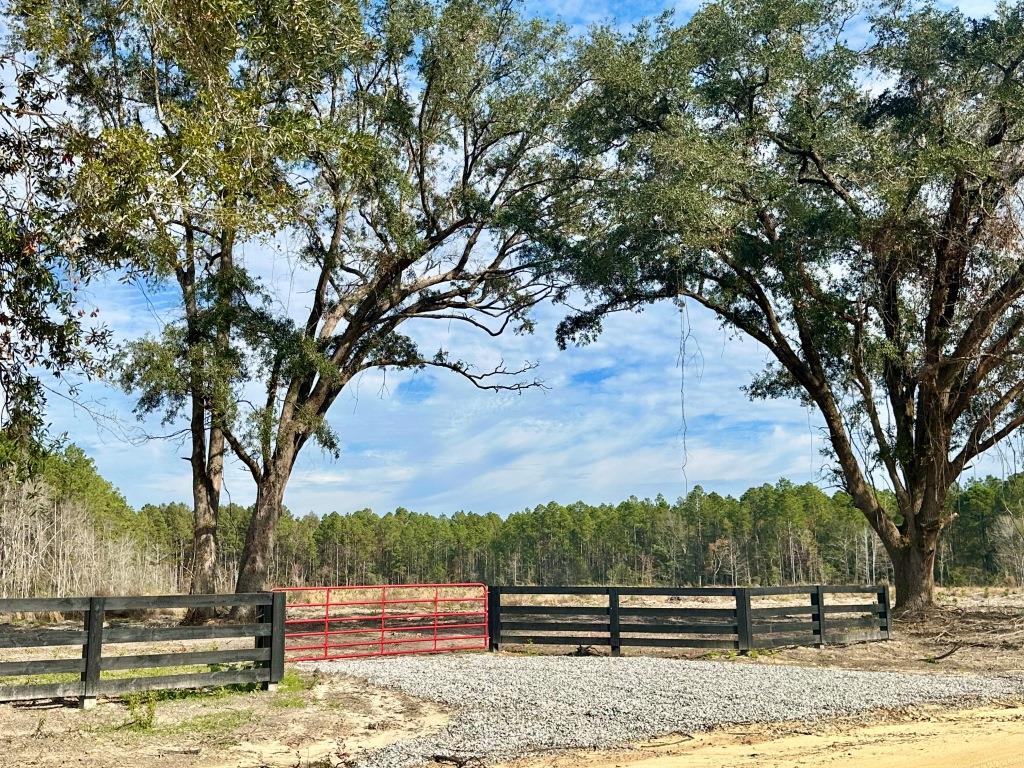 Lanes Creek Farms: 20 Lots from 5 to 26 Acres Photo