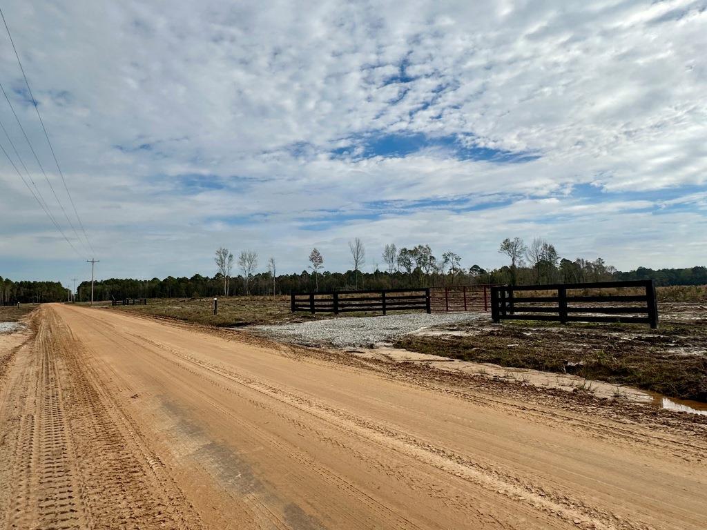 Lanes Creek Farms: 20 Lots from 5 to 26 Acres Photo