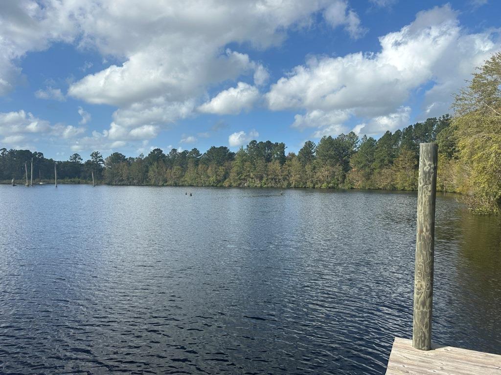 Satilla River Getaway Photo