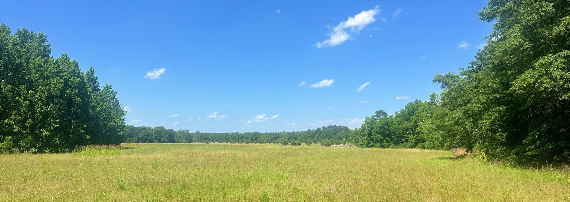 Rocky Knob Farm Main Photo