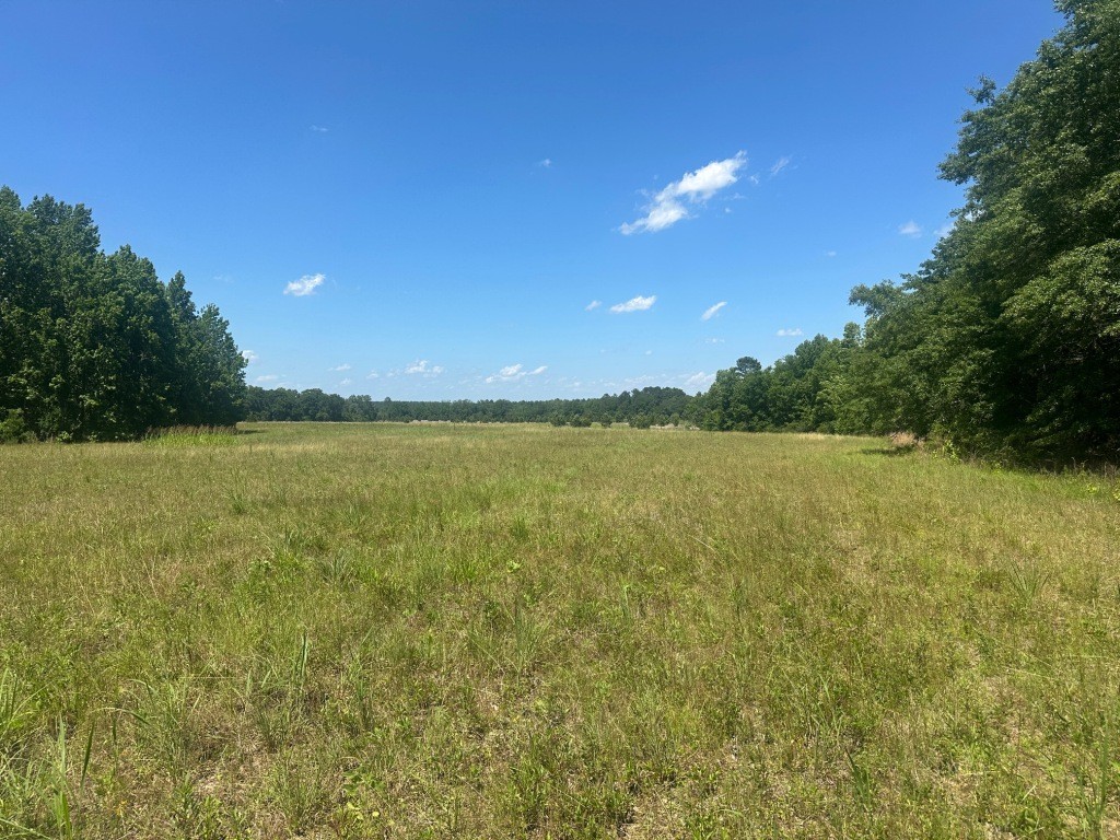 Rocky Knob Farm Photo