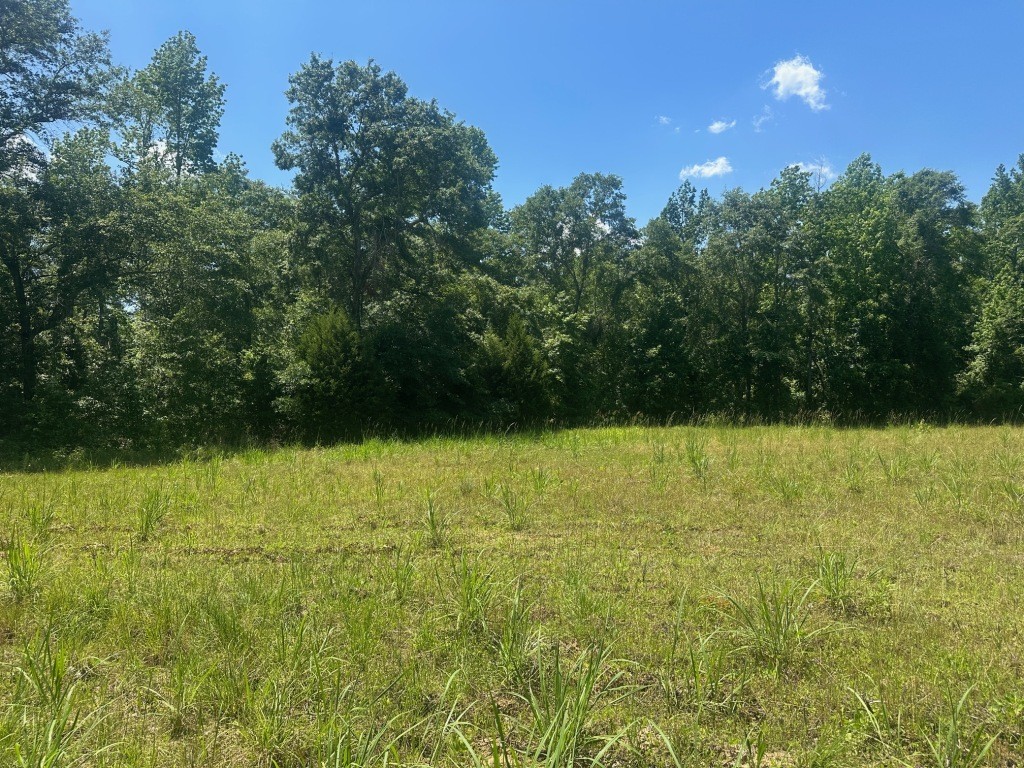 Rocky Knob Farm Photo