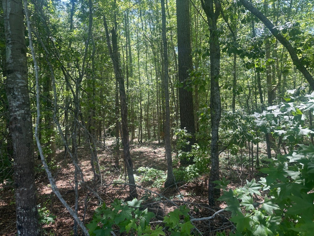 Rocky Knob Farm Photo
