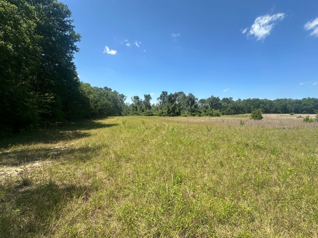 Rocky Knob Farm Photo