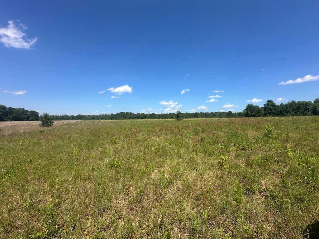 Rocky Knob Farm Photo