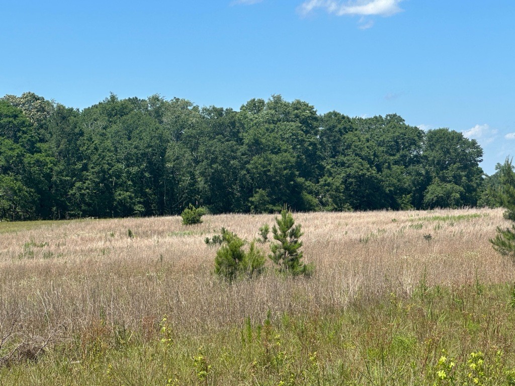 Rocky Knob Farm Photo
