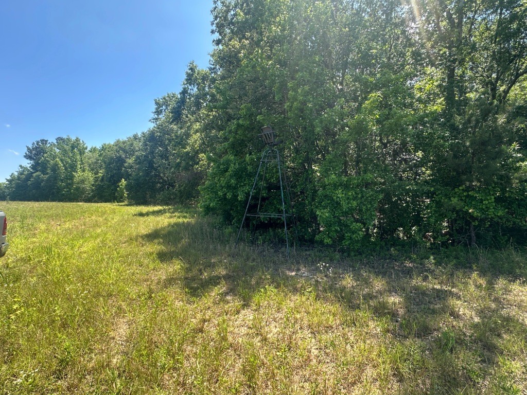 Rocky Knob Farm Photo