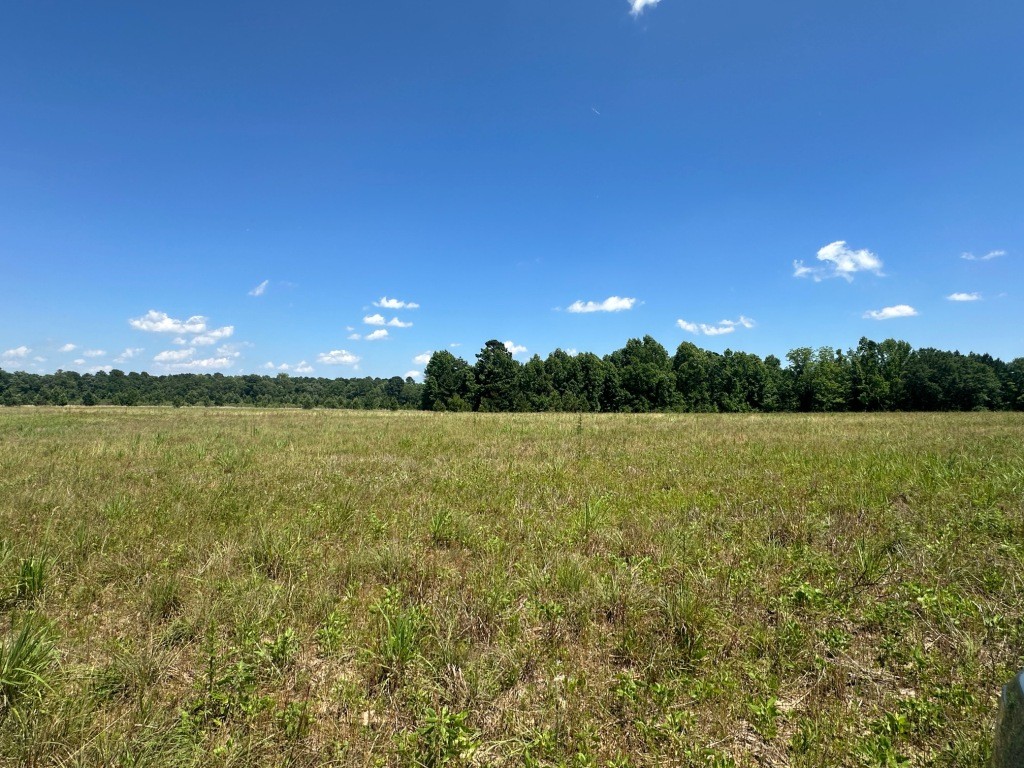 Rocky Knob Farm Photo
