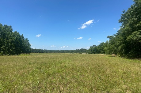 Rocky Knob Farm