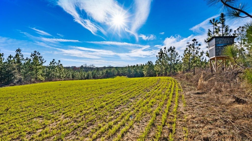 Hoxie Farm Photo