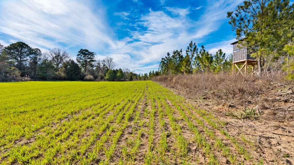 Hoxie Farm Photo