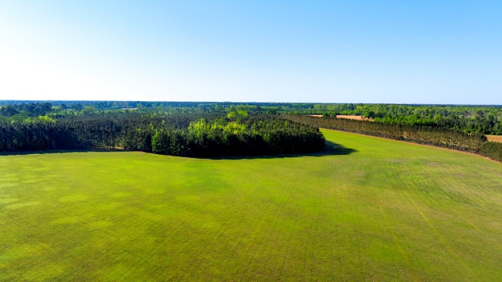 Black Creek Retreat Photo