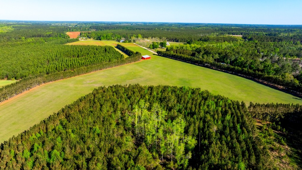 Black Creek Retreat Photo