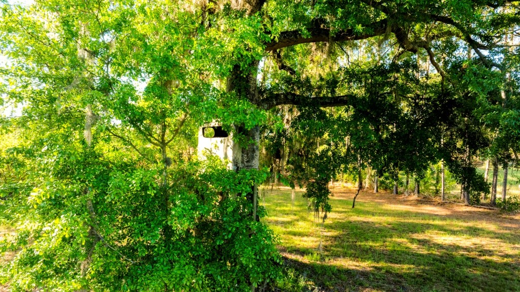 Black Creek Retreat Photo