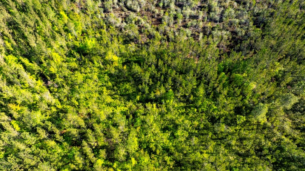 Black Creek Retreat Photo