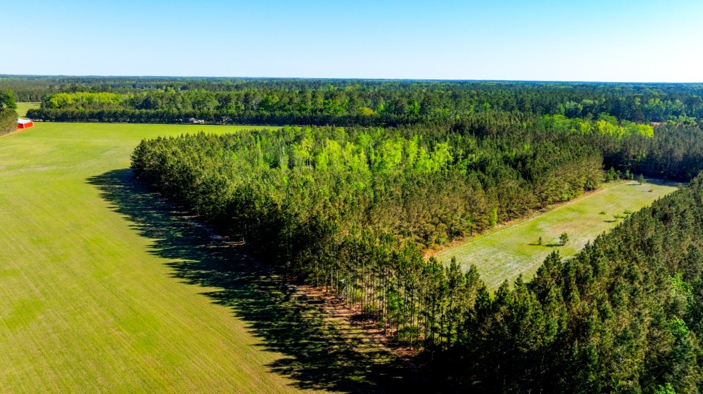 Black Creek Retreat Photo
