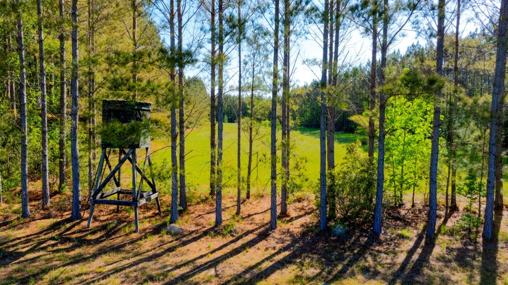 Black Creek Retreat Photo