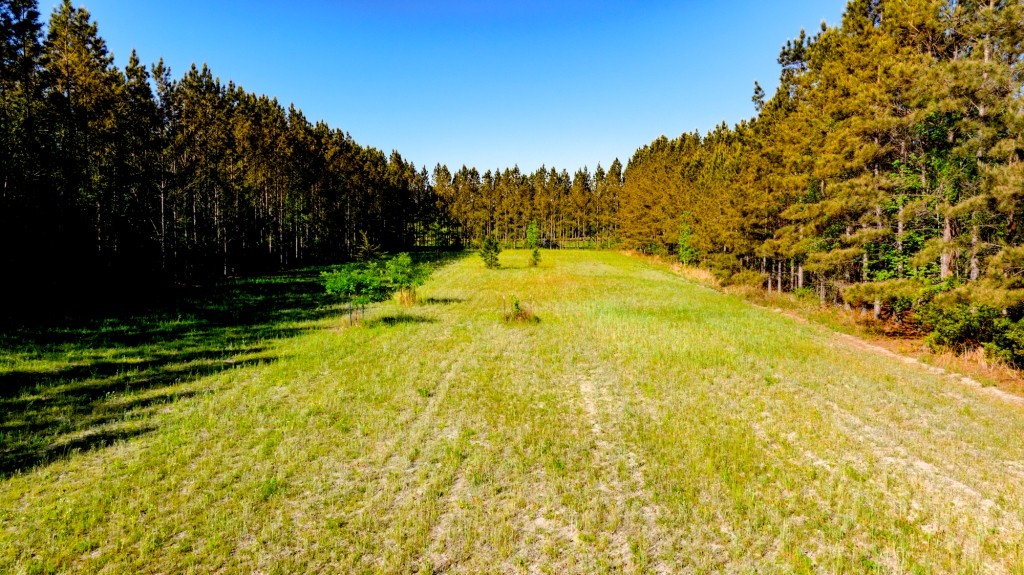 Black Creek Retreat Photo