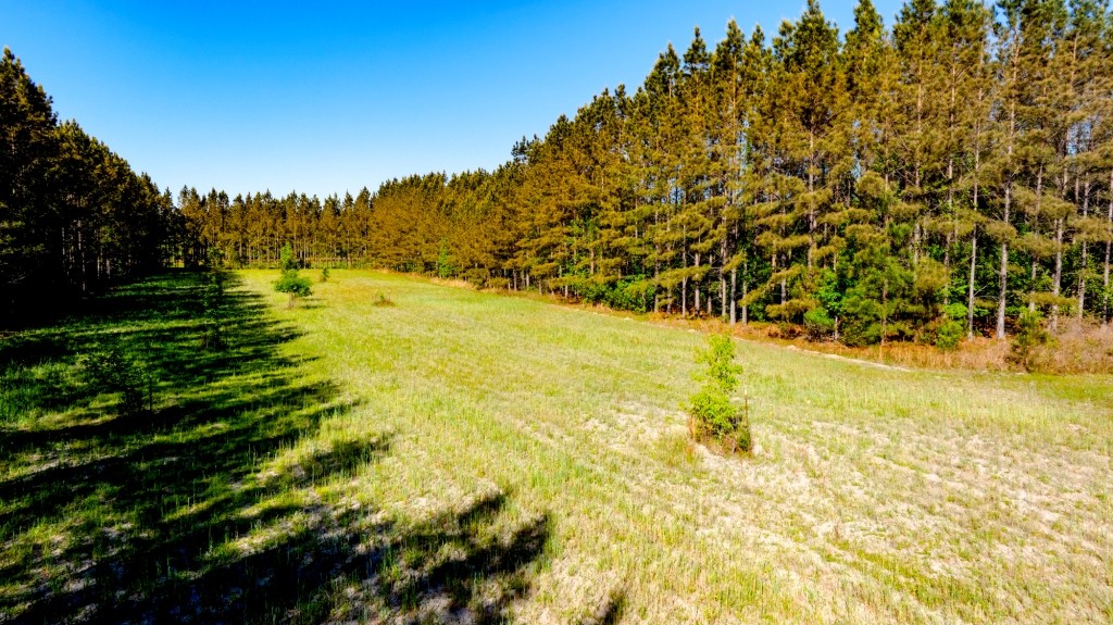 Black Creek Retreat Photo