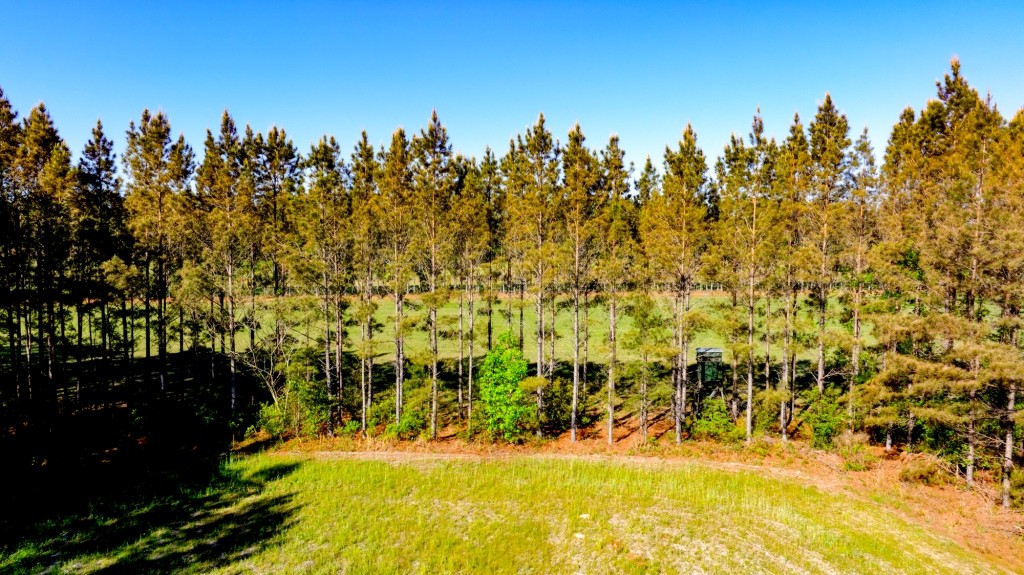 Black Creek Retreat Photo