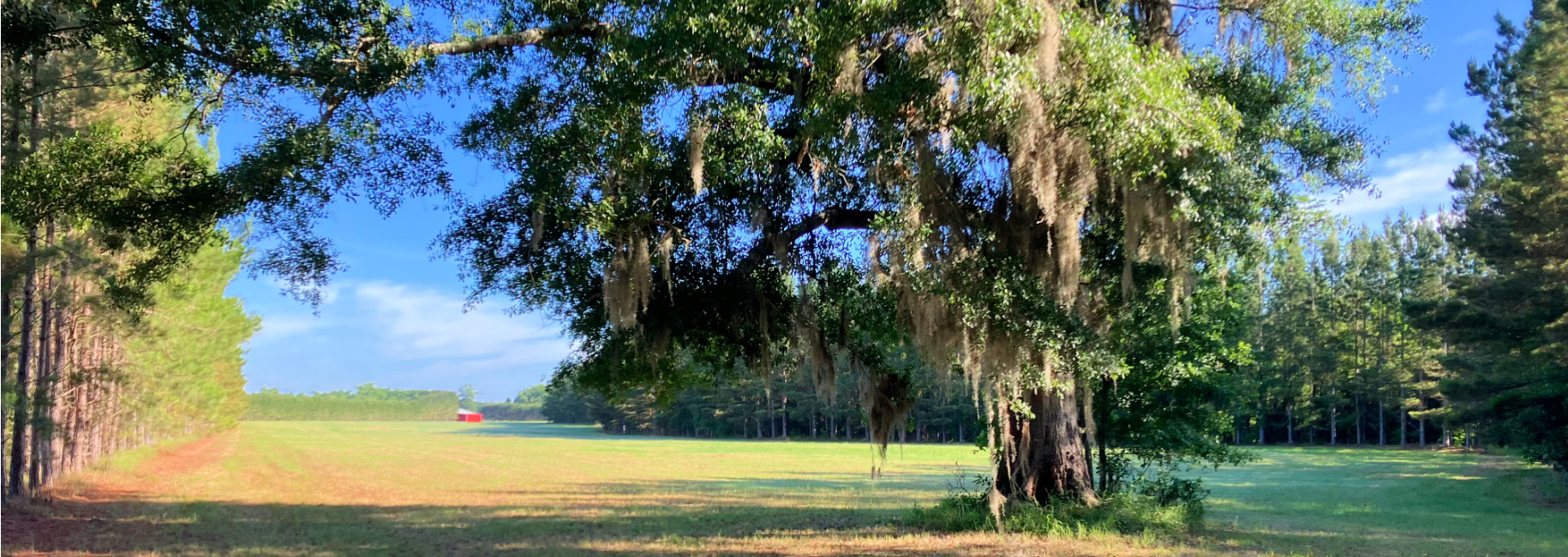 Black Creek Retreat Main Photo