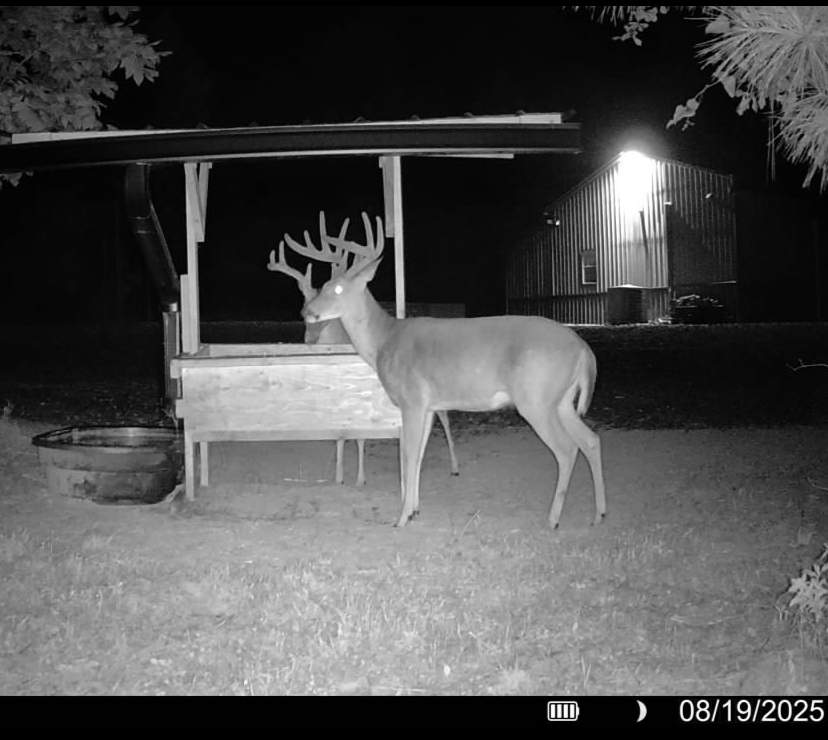 Hoxie Farm Photo