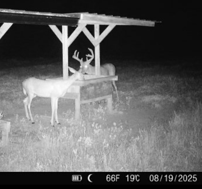 Hoxie Farm Photo
